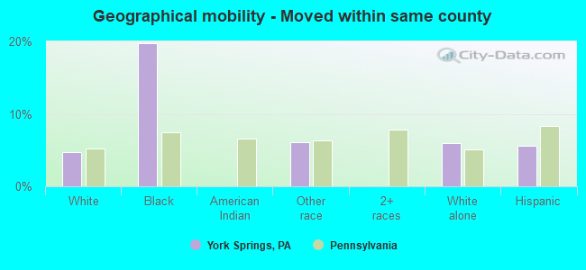 Geographical mobility -  Moved within same county