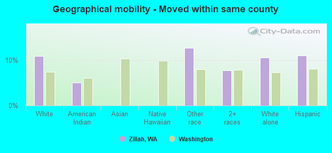 Geographical mobility -  Moved within same county