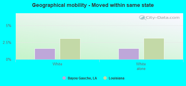 Geographical mobility -  Moved within same state