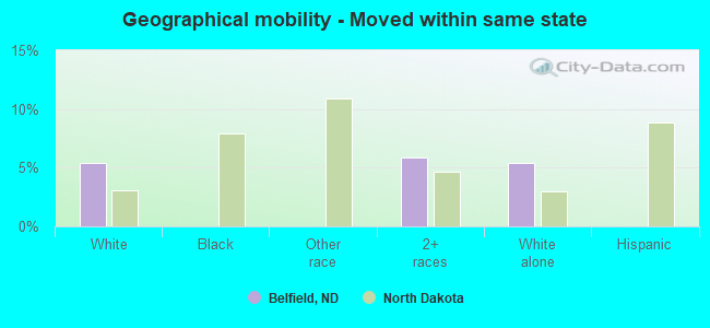 Geographical mobility -  Moved within same state