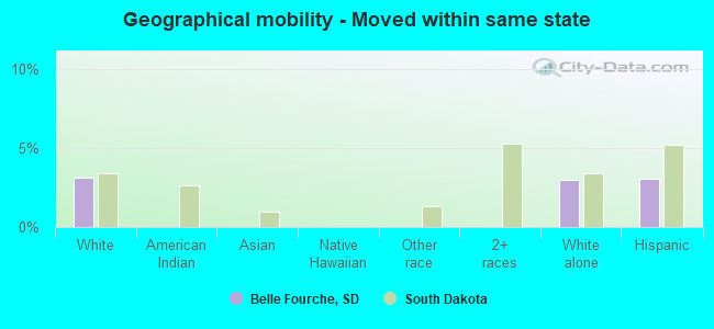 Geographical mobility -  Moved within same state