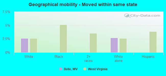 Geographical mobility -  Moved within same state