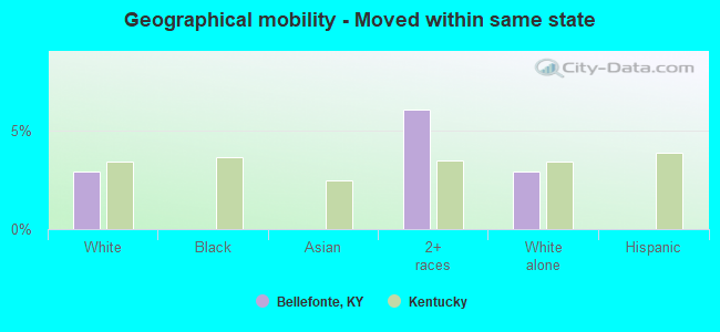 Geographical mobility -  Moved within same state