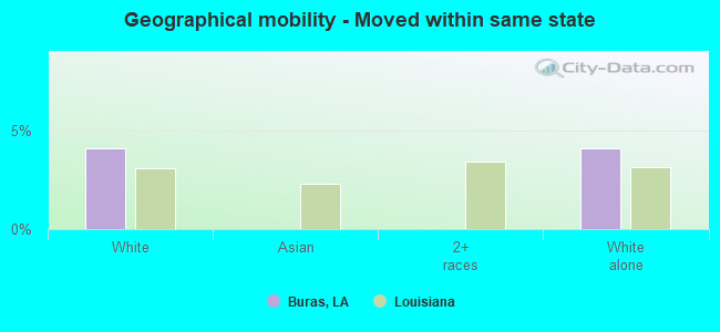 Geographical mobility -  Moved within same state