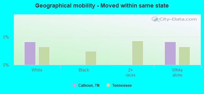 Geographical mobility -  Moved within same state