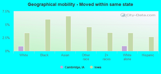 Geographical mobility -  Moved within same state