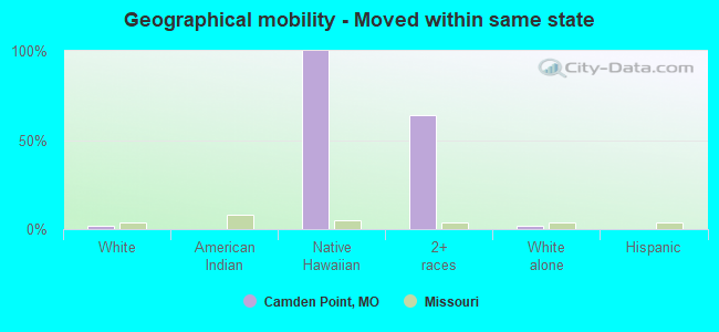 Geographical mobility -  Moved within same state