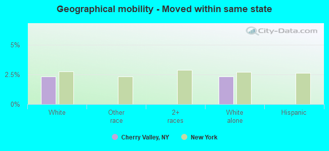 Geographical mobility -  Moved within same state