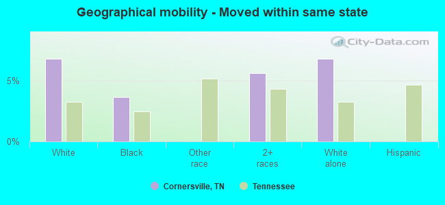 Geographical mobility -  Moved within same state