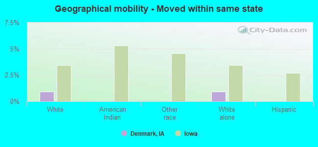 Geographical mobility -  Moved within same state