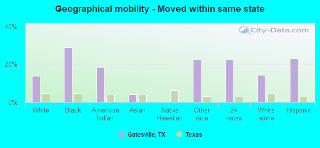 Geographical mobility -  Moved within same state