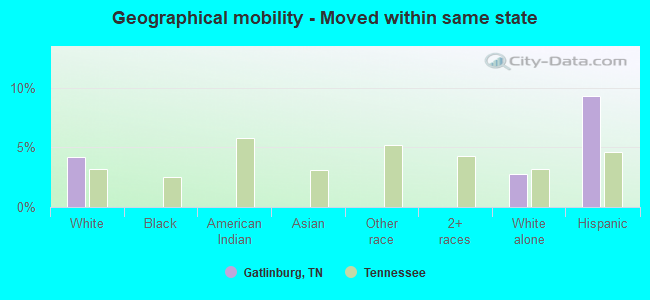 Geographical mobility -  Moved within same state