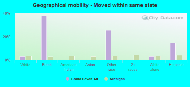 Geographical mobility -  Moved within same state