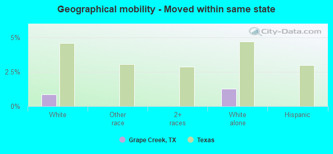 Geographical mobility -  Moved within same state