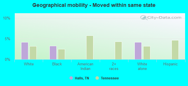 Geographical mobility -  Moved within same state