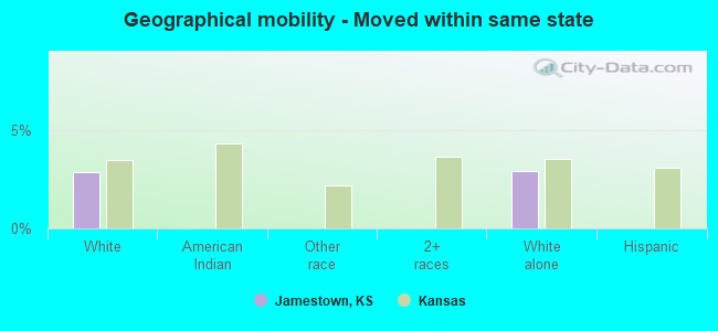 Geographical mobility -  Moved within same state