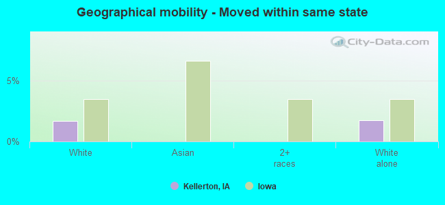 Geographical mobility -  Moved within same state