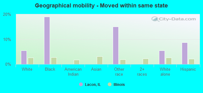 Geographical mobility -  Moved within same state