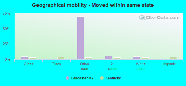 Geographical mobility -  Moved within same state