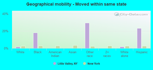 Geographical mobility -  Moved within same state