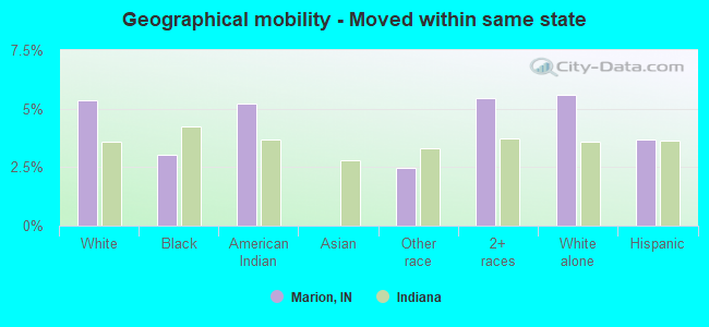 Geographical mobility -  Moved within same state