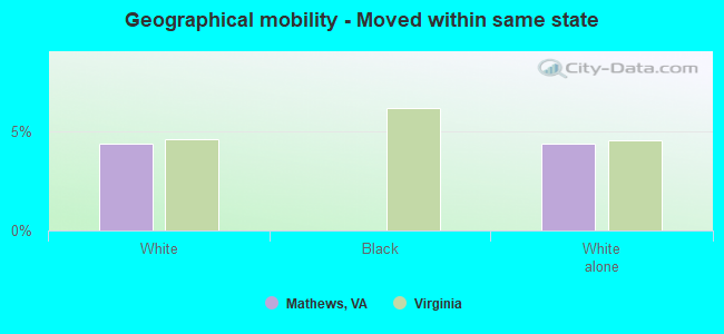 Geographical mobility -  Moved within same state