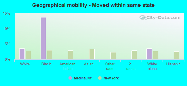 Geographical mobility -  Moved within same state