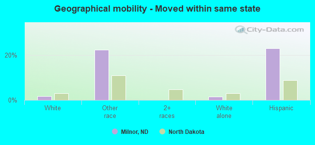 Geographical mobility -  Moved within same state