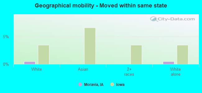 Geographical mobility -  Moved within same state