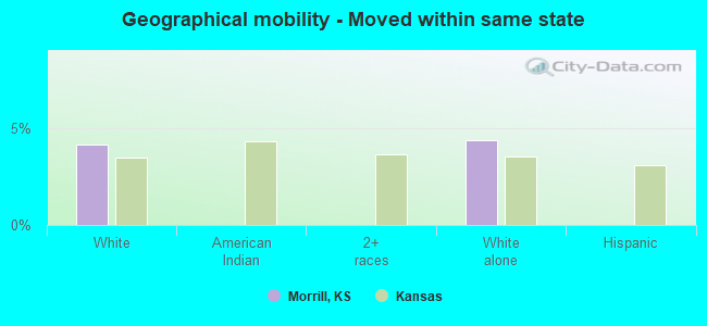 Geographical mobility -  Moved within same state