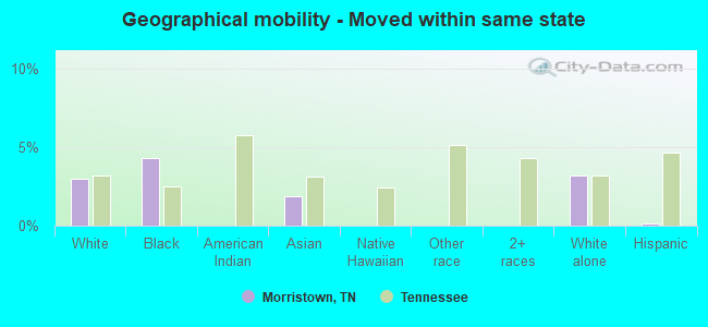 Geographical mobility -  Moved within same state