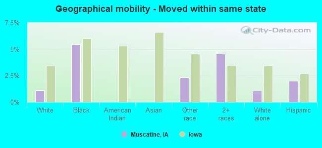 Geographical mobility -  Moved within same state