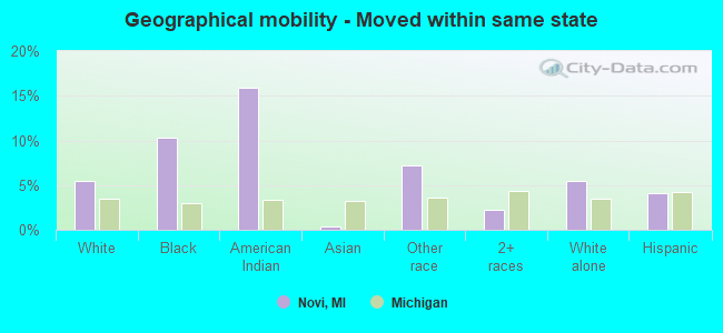 Geographical mobility -  Moved within same state