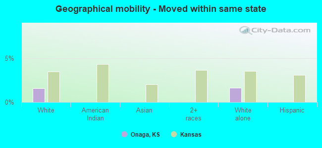 Geographical mobility -  Moved within same state