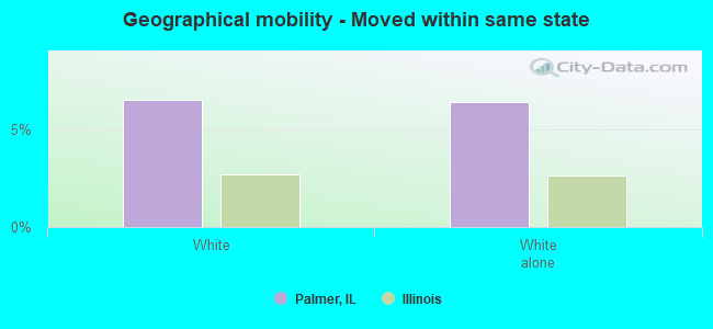 Geographical mobility -  Moved within same state