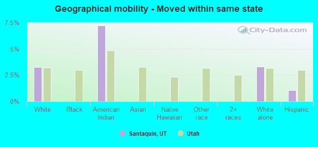 Geographical mobility -  Moved within same state