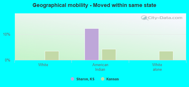 Geographical mobility -  Moved within same state