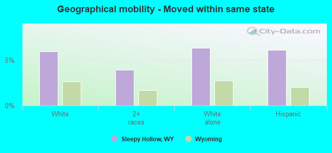 Geographical mobility -  Moved within same state