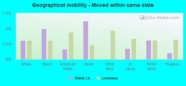 Geographical mobility -  Moved within same state