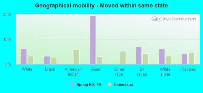 Geographical mobility -  Moved within same state