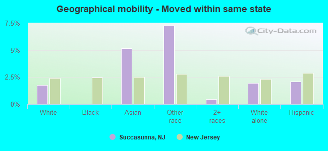 Geographical mobility -  Moved within same state