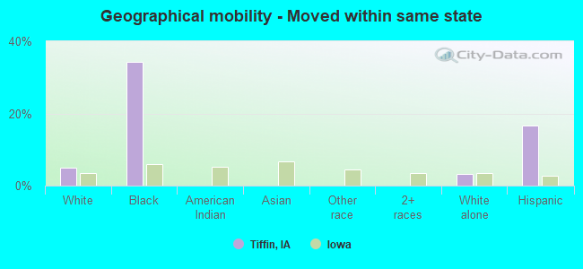 Geographical mobility -  Moved within same state