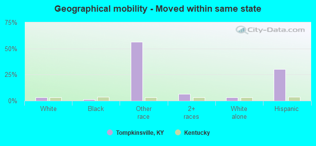 Geographical mobility -  Moved within same state