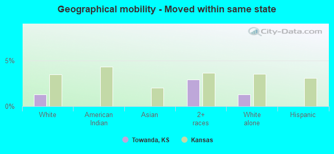 Geographical mobility -  Moved within same state