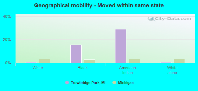 Geographical mobility -  Moved within same state