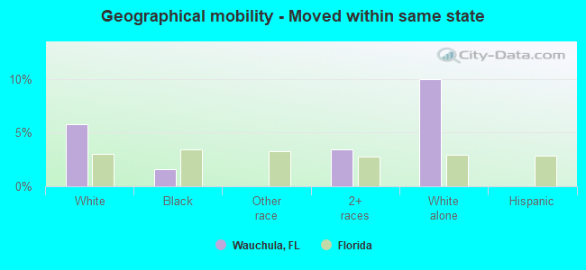 Geographical mobility -  Moved within same state