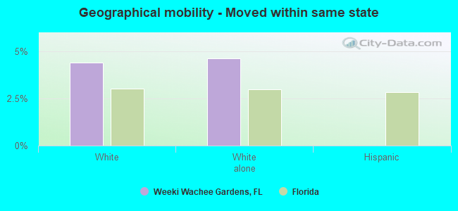 Geographical mobility -  Moved within same state