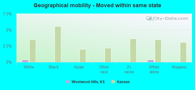 Geographical mobility -  Moved within same state