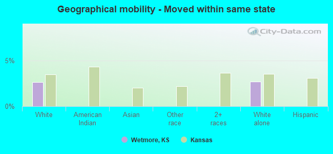 Geographical mobility -  Moved within same state