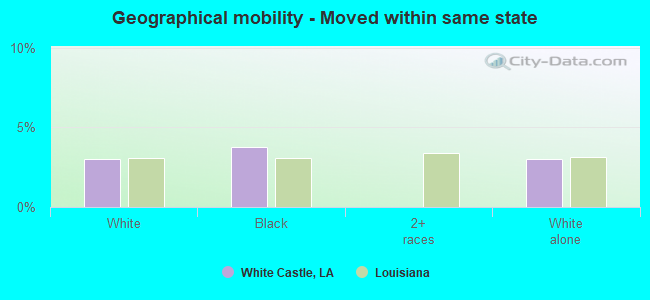 Geographical mobility -  Moved within same state